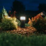 1755534528802×273196949974179970-feature