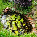 1755534528805×795417125220585200-feature