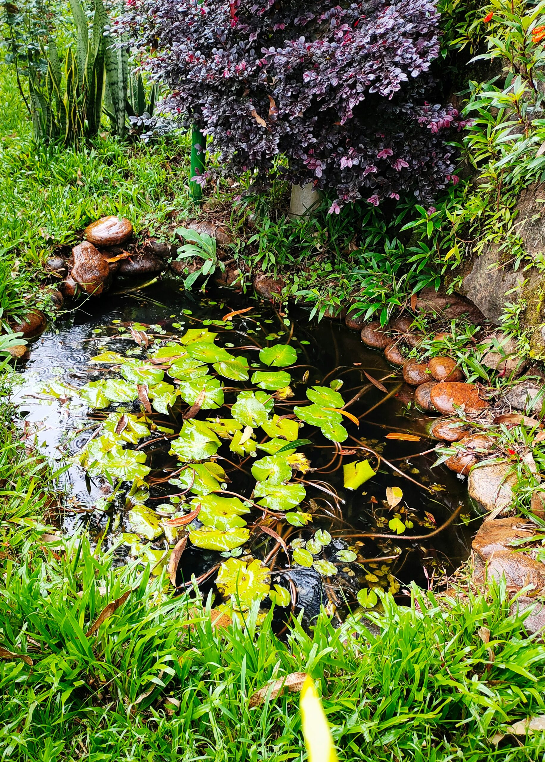 1755534528805×795417125220585200-feature