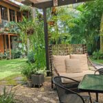 1755534528808×331647435188153800-feature