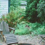 1755534528814×779273574842203800-feature