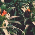 1755535384174×235398835467188760-feature