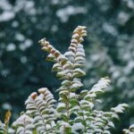 1755535384184×484210750264918200-feature