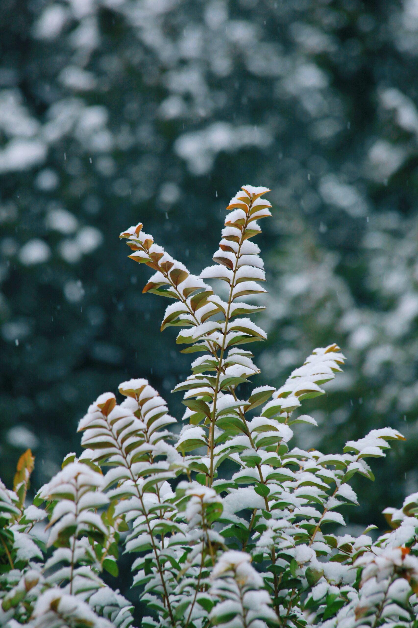 1755535384184×484210750264918200-feature