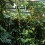 1755535384191×992521558746330800-feature