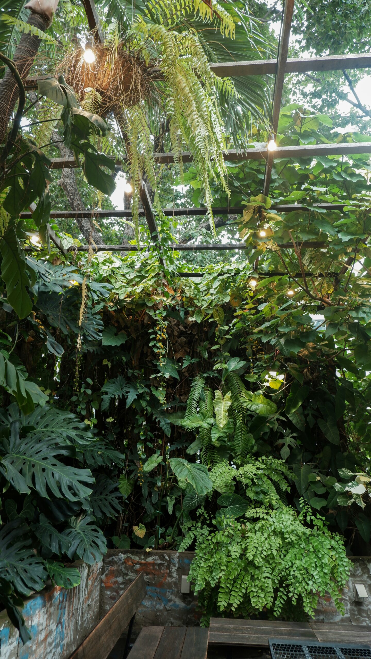 1755535384191×992521558746330800-feature