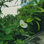 1755535384204×217624985141498850-feature