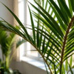 Kucyk z Warkoczem: Plecionki dla Palmy Kucyk