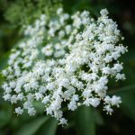 josef-stepanek-5DMyxpfVAKs-unsplash