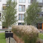 nowoczesneosiedlemieszkaniowezduzymiczarnymidonicamiogrodowymiidrzewaminazielonymdziedzincu._wp