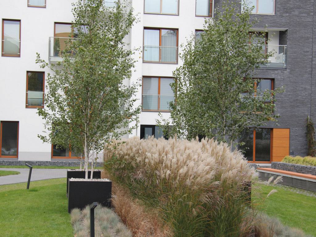 nowoczesneosiedlemieszkaniowezduzymiczarnymidonicamiogrodowymiidrzewaminazielonymdziedzincu._wp