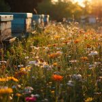 czy_kazdy_moze_postawic_ul_wp