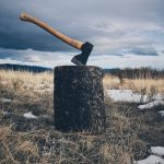 ax-stuck-trunk_181624-10847_wp